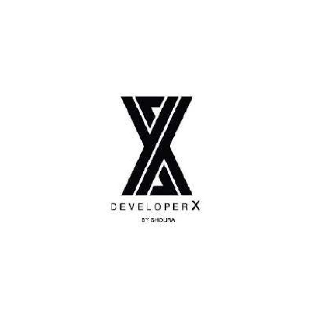 شركة developer x